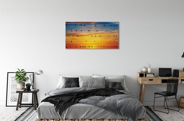 Obraz na plátne Vtáky na lanách západu slnka 100x50 cm