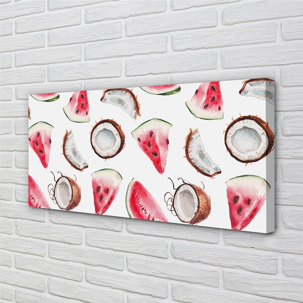 Obraz canvas kokos melón 100x50 cm