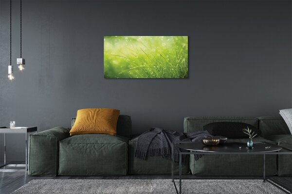 Obraz canvas Tráva kvapky rosy 100x50 cm