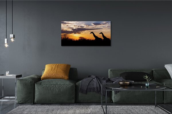Obraz canvas Žirafy strom mraky 100x50 cm