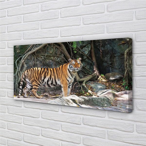 Obraz na plátne tiger džungle 100x50 cm