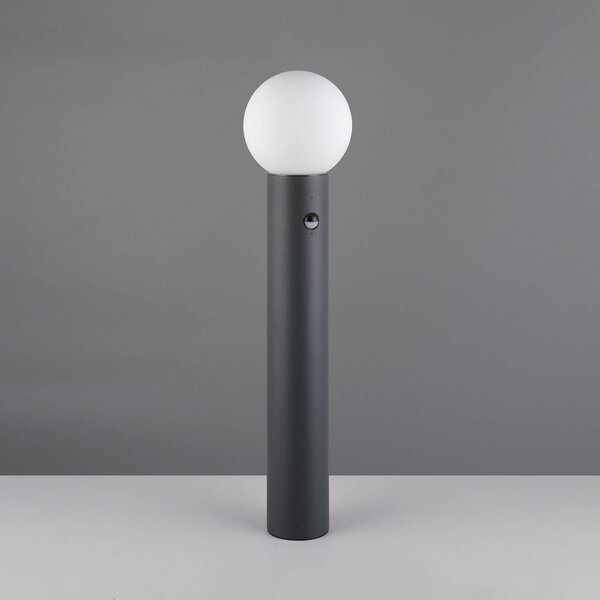 Trio Lighting Chodníkové svetlo Mures, antracitová farba, výška 80 cm, kov, senzor, Čierna, Hliník, Moderný, Osvetlenie príjazdovej cesty