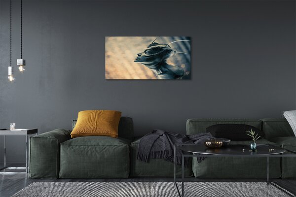 Obraz canvas formulár hlava 100x50 cm