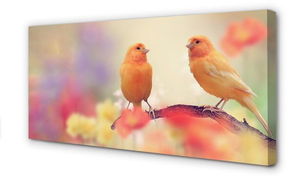 Obraz na plátne farebný papagáj 100x50 cm