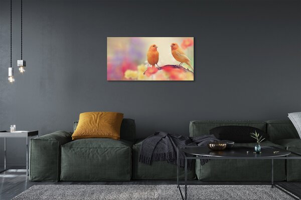 Obraz na plátne farebný papagáj 100x50 cm