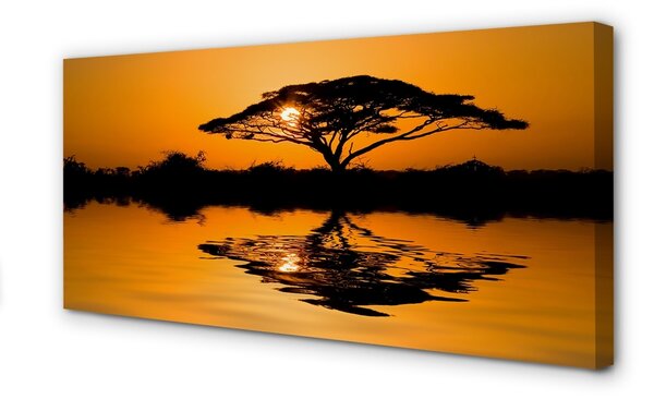 Obraz canvas Sunset tree 100x50 cm