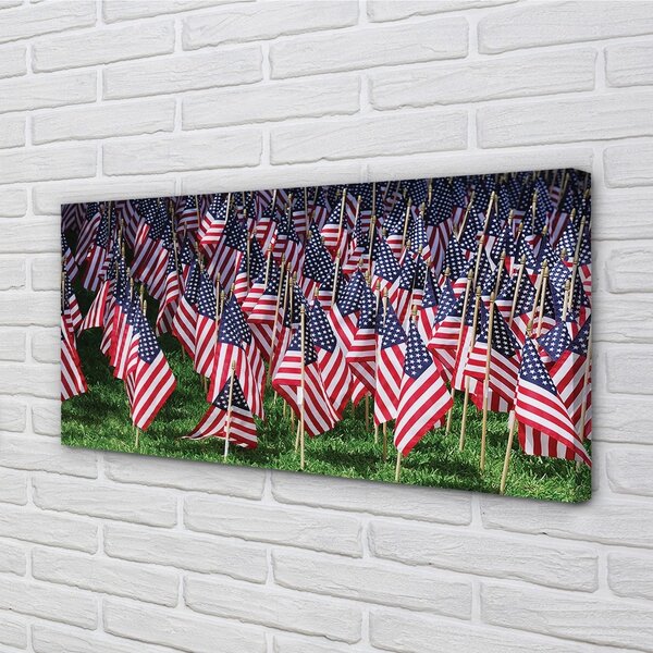 Obraz canvas usa vlajky 100x50 cm