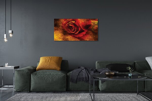 Obraz canvas rose picture 100x50 cm