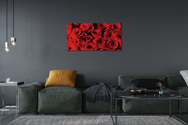 Obraz canvas ruže 100x50 cm