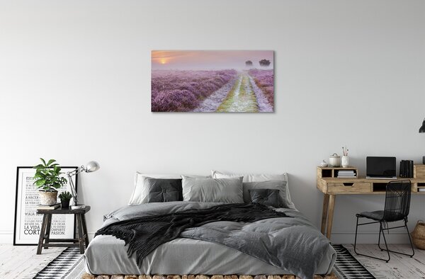 Obraz canvas poľné vresy 100x50 cm
