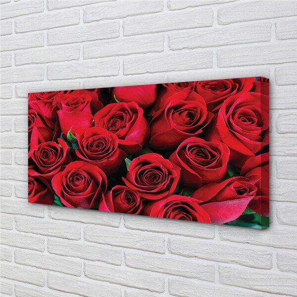 Obraz canvas ruže 100x50 cm