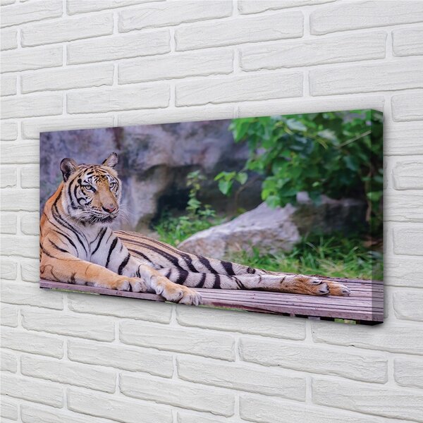 Obraz na plátne Tiger v zoo 100x50 cm