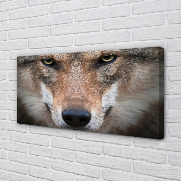 Obraz na plátne wolf Eyes 100x50 cm