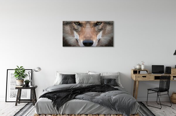 Obraz na plátne wolf Eyes 100x50 cm
