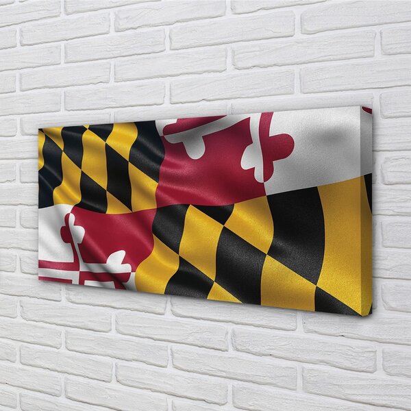 Obraz canvas flags 100x50 cm