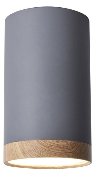 LED Stropné svietidlo TUBA LED/9W/230V
