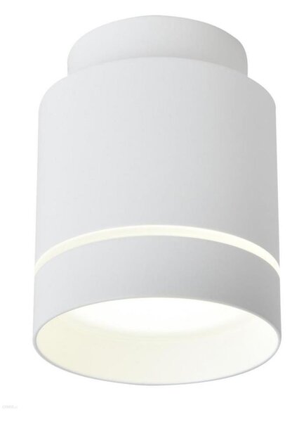 LED Stropné svietidlo TUBA LED/12W/230V