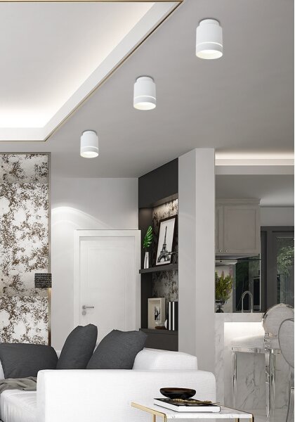 LED Stropné svietidlo TUBA LED/12W/230V