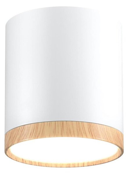 LED Stropné svietidlo TUBA LED/5W/230V biela/béžová