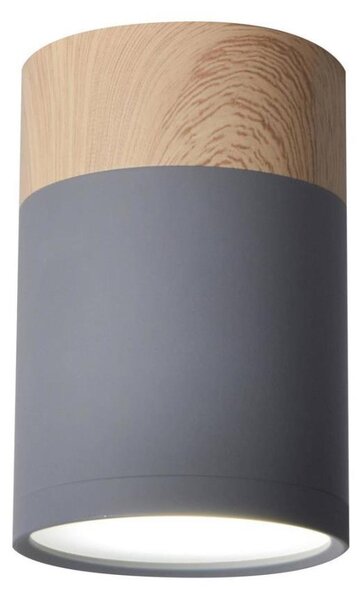 Stropné svietidlo TUBA GU10/15W/230V