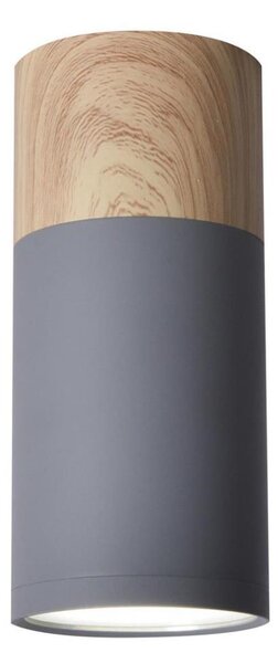 Stropné svietidlo TUBA GU10/15W/230V