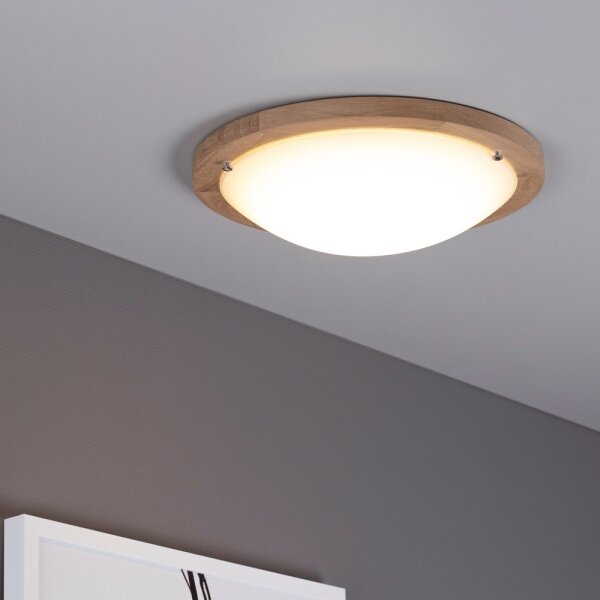 Spot-Light 4753474 - Stropné svietidlo FRIDA 2xE27/40W/230V