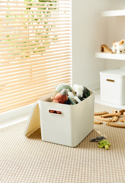 Rotho Úložný box, rovný s vekom, 27l, matne biela ALBU LIGHT, 37x29x30