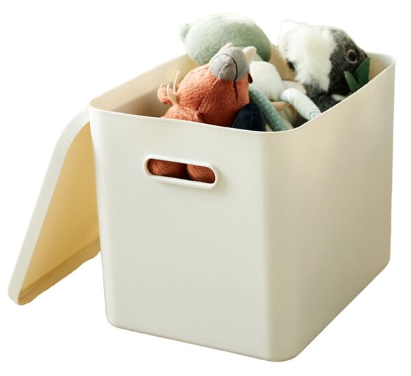 Rotho Úložný box, rovný s vekom, 27l, matne biela ALBU LIGHT, 37x29x30