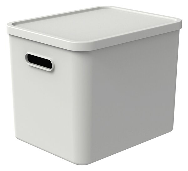 Rotho Úložný box, rovný s vekom, 27l, matne biela ALBU LIGHT, 37x29x30