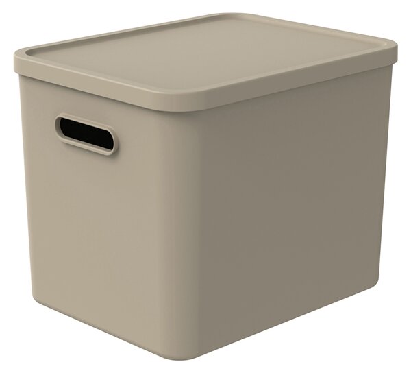 Rotho Úložný box, rovný s vekom, 27l, béžová ALBU LIGHT, 37x29x30