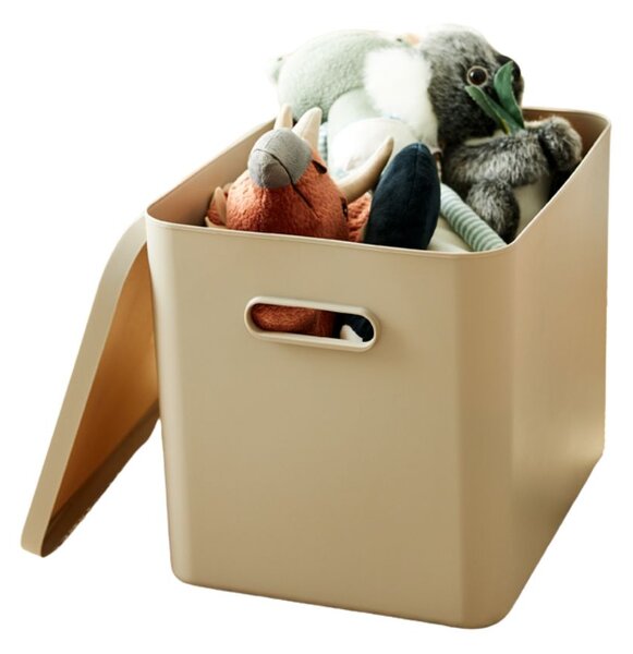 Rotho Úložný box, rovný s vekom, 27l, béžová ALBU LIGHT, 37x29x30