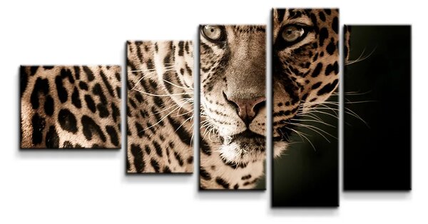 Sablio Obraz - 5-dílný Leopard - 100x60 cm