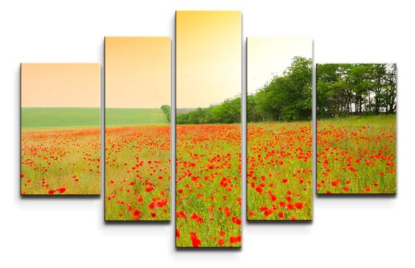 Sablio Obraz - 5-dílný Pole vlčieho maku - 125x90 cm