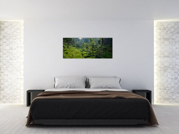Obraz ryžových terás Tegalalang, Bali (120x50 cm)