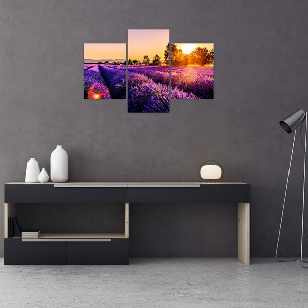 Obraz levanduľového pole, Provence (90x60 cm)