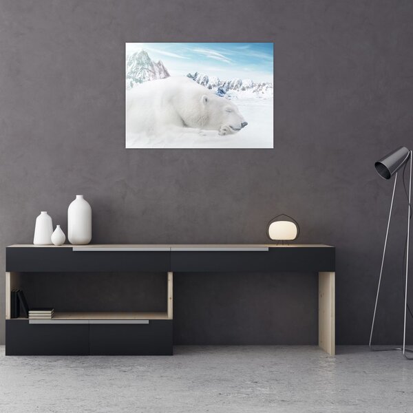 Obraz - Ľadový medveď (70x50 cm)