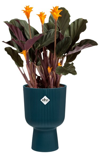 Elho plastový kvetináč Vibes fold Coupe deep blue Ø 14 cm