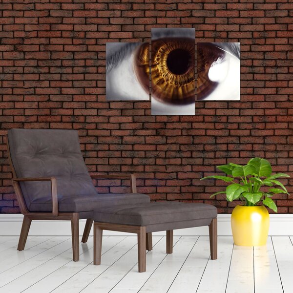 Obraz - Oko (90x60 cm)