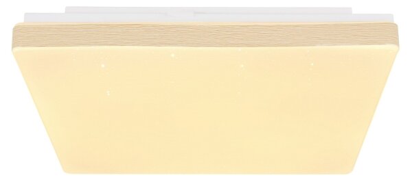 Globo 48296W - LED Stropné svietidlo RAINA LED/12W/230V