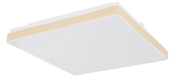 Globo 48296W - LED Stropné svietidlo RAINA LED/12W/230V