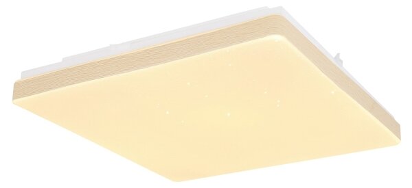 Globo 48296W - LED Stropné svietidlo RAINA LED/12W/230V