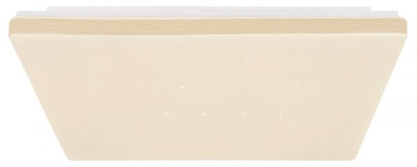 Globo 48025WSH - LED Stmievateľné stropné svietidlo LED/24W/230V Wi-Fi Tuya + DO