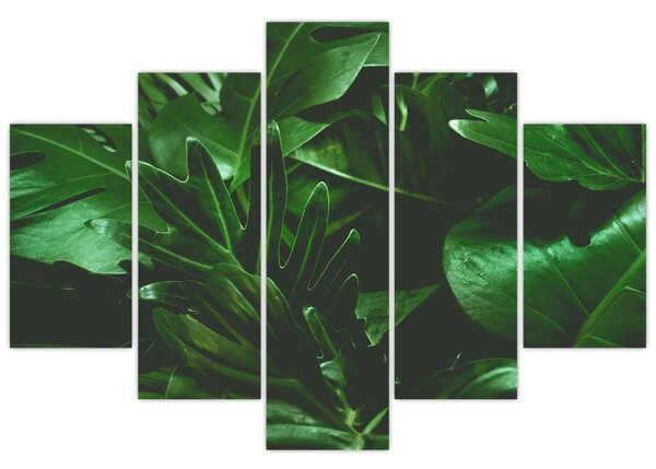 Obraz - Palmové listy (150x105 cm)