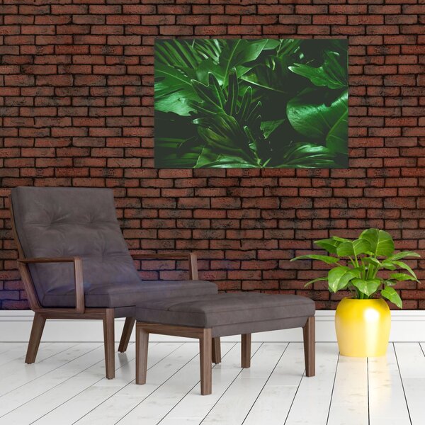 Obraz - Palmové listy (90x60 cm)