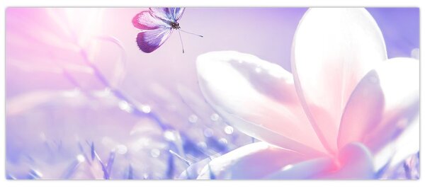 Obraz - Motýľ prilietajúci na kvet (120x50 cm)