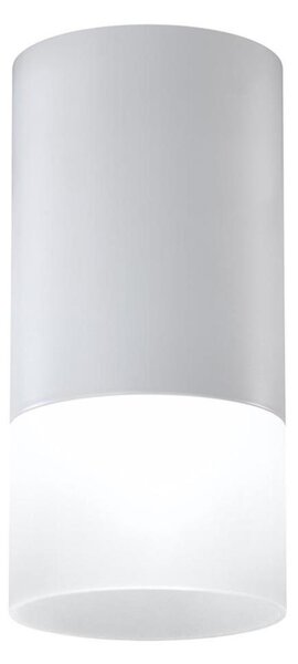 Bodové svietidlo TUBA 1xGU10/15W/230V šedá/biela