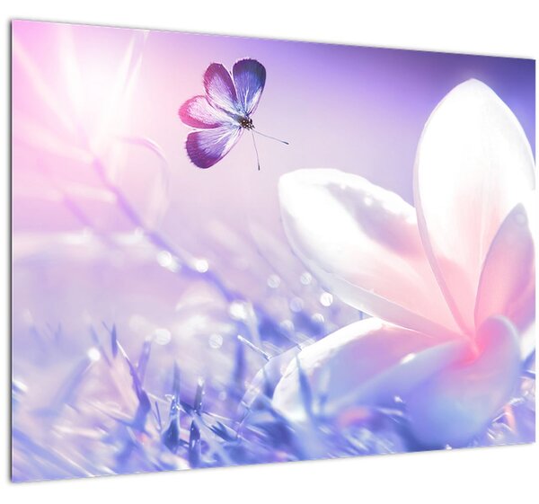 Obraz - Motýľ prilietajúci na kvet (70x50 cm)