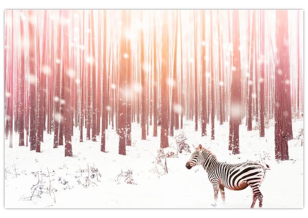 Obraz - Zebra v zasneženom lese (90x60 cm)