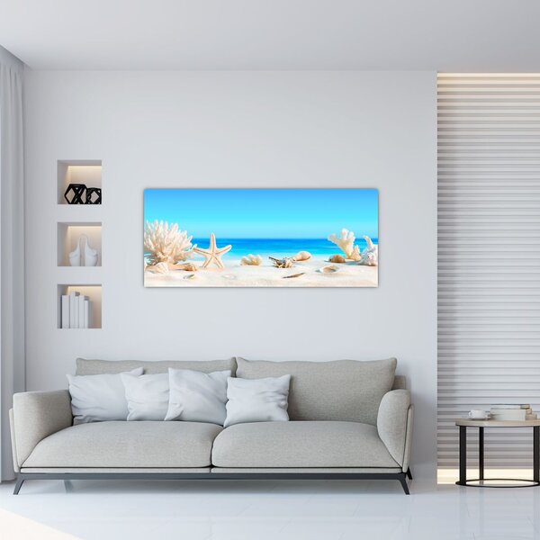 Obraz - Zátišie s mušľami (120x50 cm)