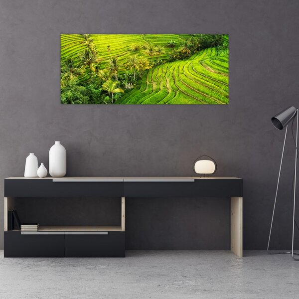 Obraz - Ryžové terasy (120x50 cm)